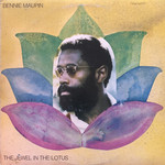The Jewel in the Lotus