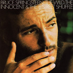the wild the innocent and the e street..