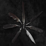 dust & disquiet