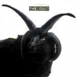cult
