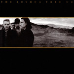 joshua tree