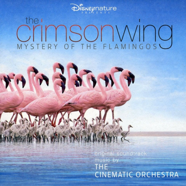 The Crimson Wing