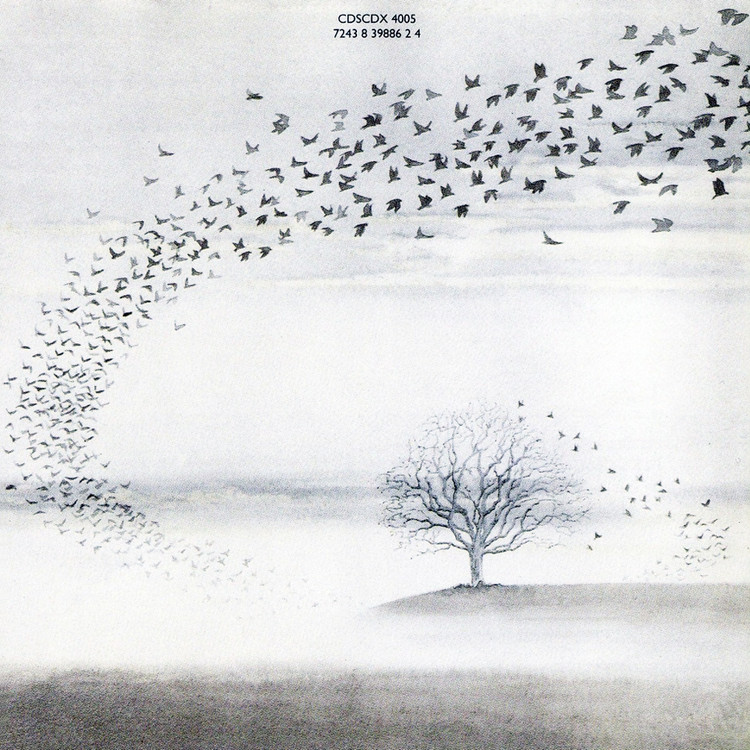 Wind & Wuthering