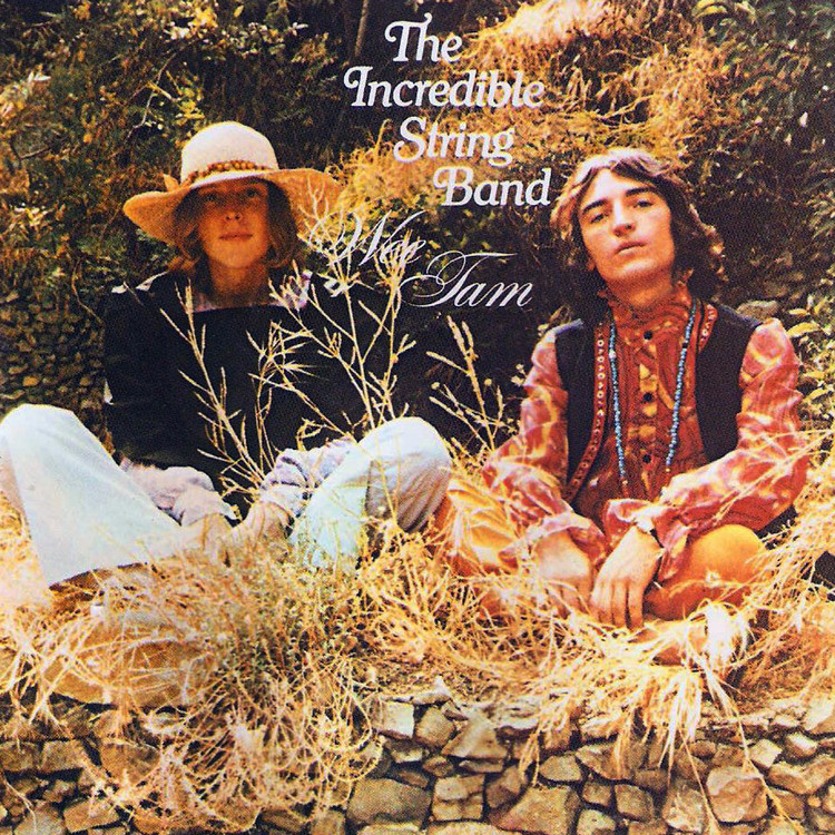 incredible string band - wee tam