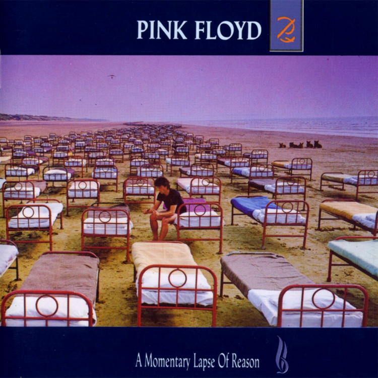 a momentary lapse of reason
