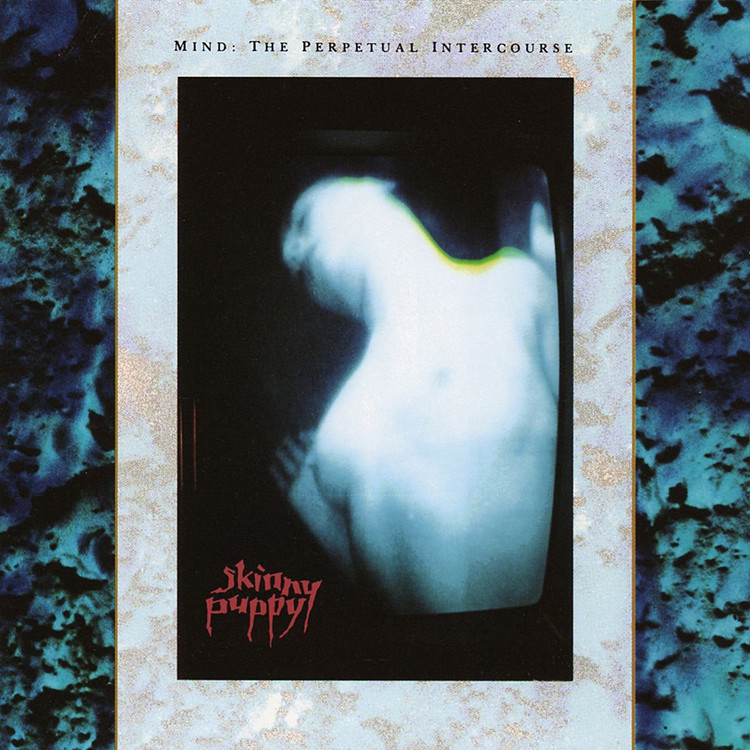 mind: the perpetual intercourse