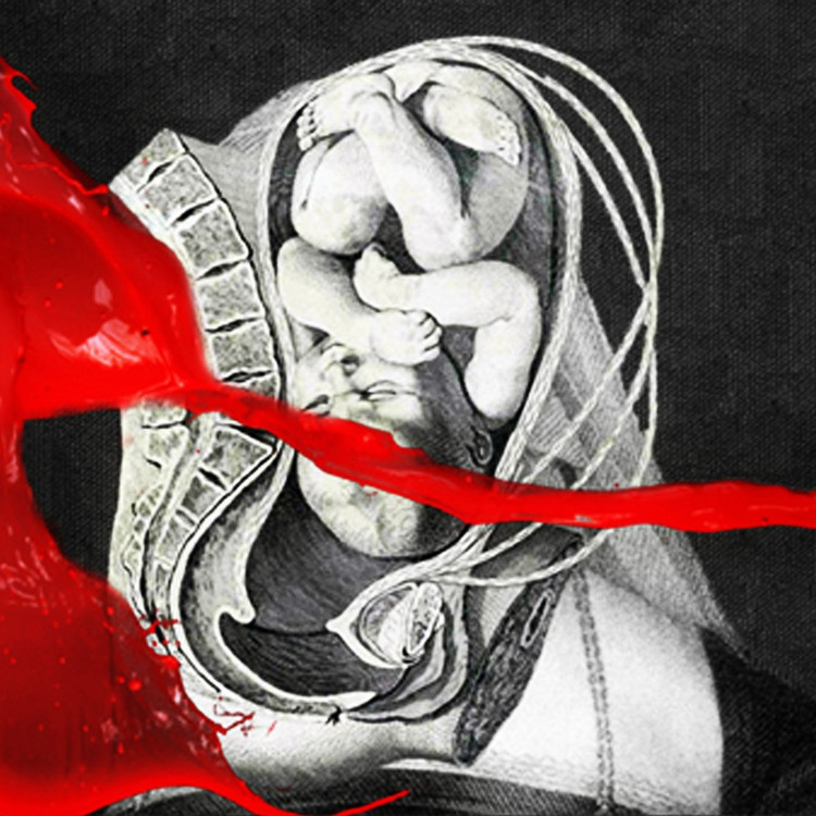 IAMX The Unified Field