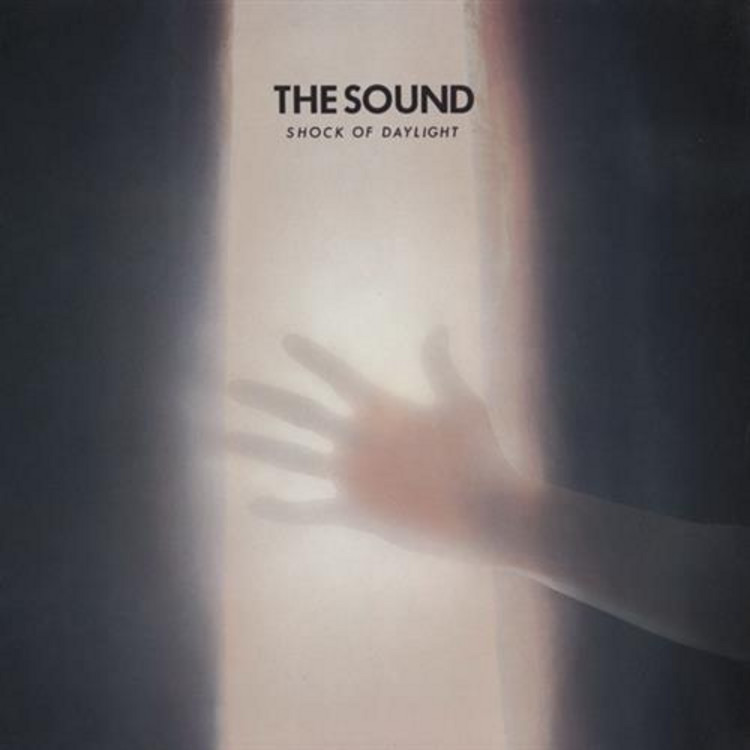 shock of daylight