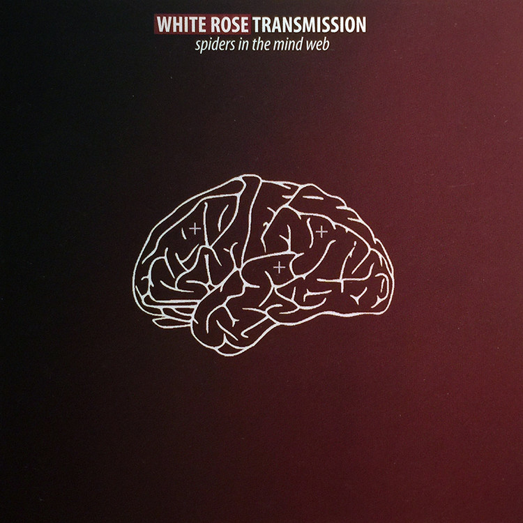 white rose transmission - spiders in the mind web