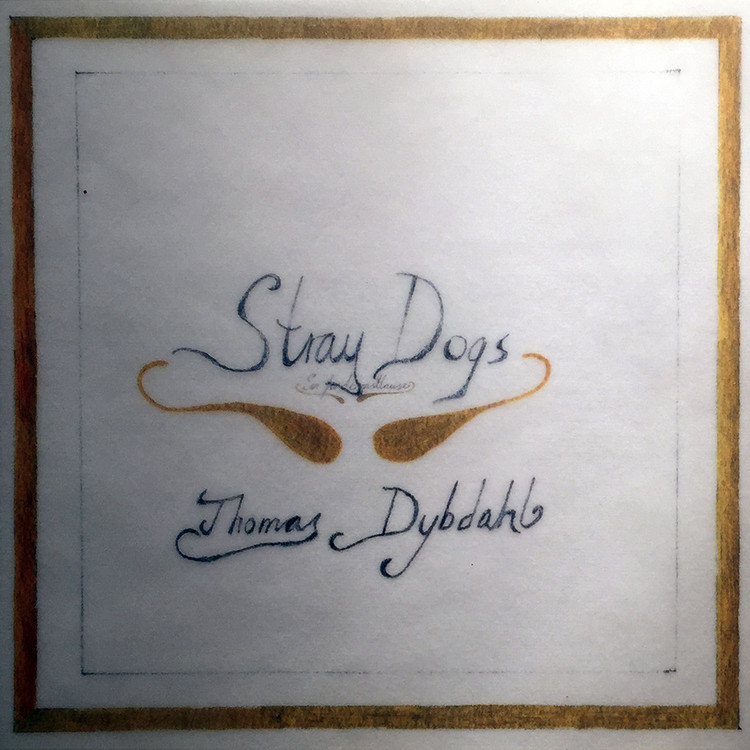 stray dogs