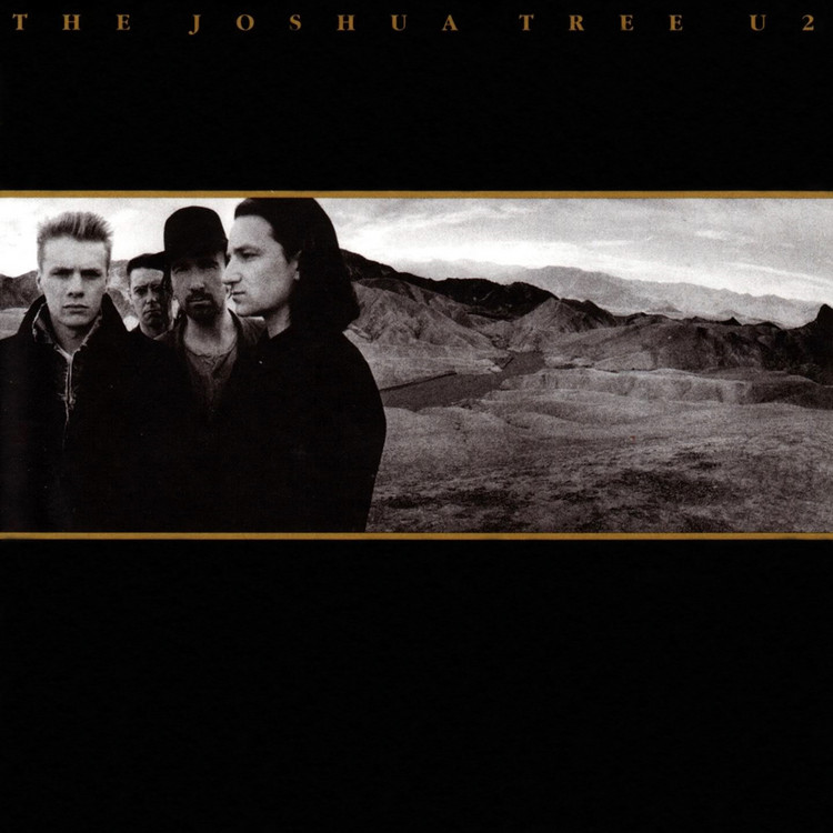 joshua tree